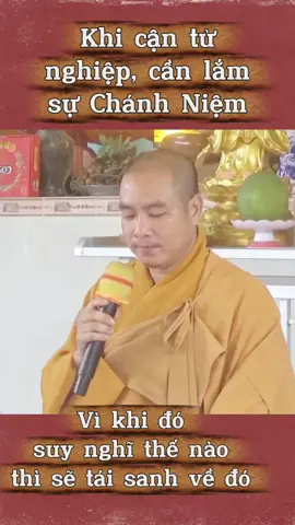 Chánh Niệm rất cần dù bạn đang ở trong hoàn cảnh nào