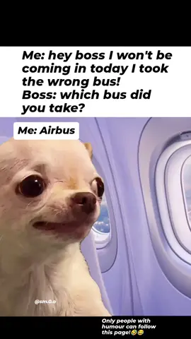 🫣🤣Follow for more evil memes  🔥Official Evil Dog Merch 😭😂 – link in Bio! Want something custom? We'll add it for you instantly!😍🐶  #Evildog #work  #Memes #diabolical #vacation 