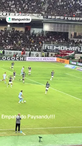 #paysandu #clubedoremo #futebol #mangueirao #rexpa 