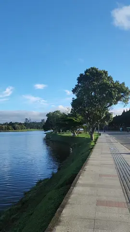 #dalat #yeudalat #nhachaymoingay 