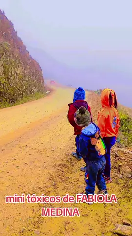 #caminos del Inca 2025