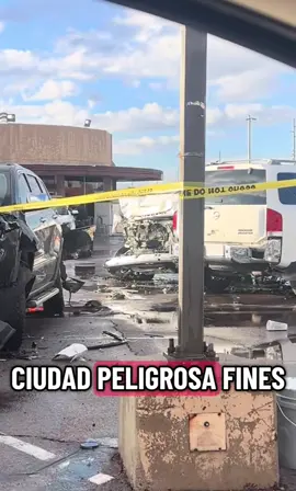 Todo trankis #paratii #foryou #phoenix 