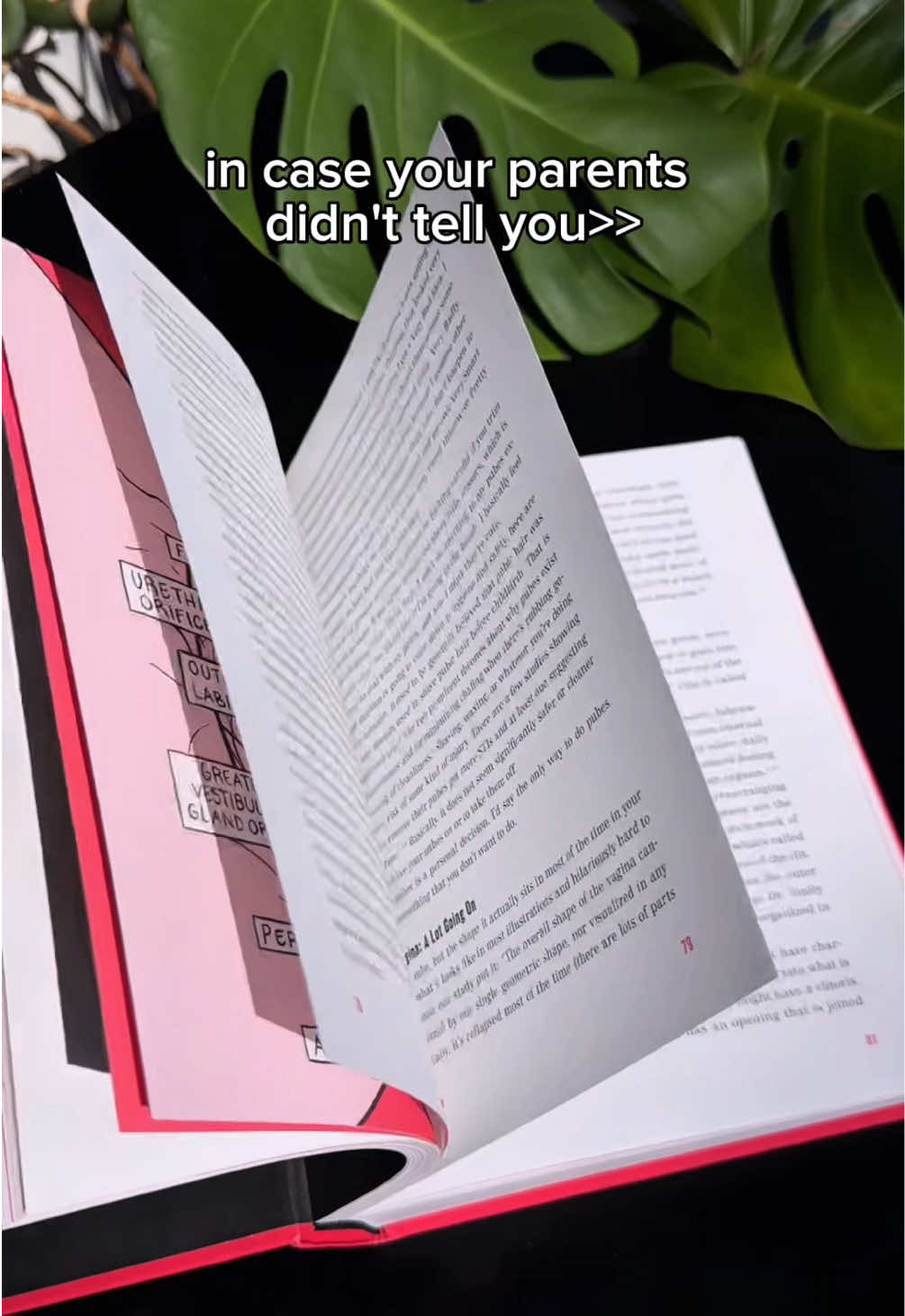 Knowledge is power ✨  #BookTok #springtok #tiktokshopspringglowup #books #tiktokcreatorfund 