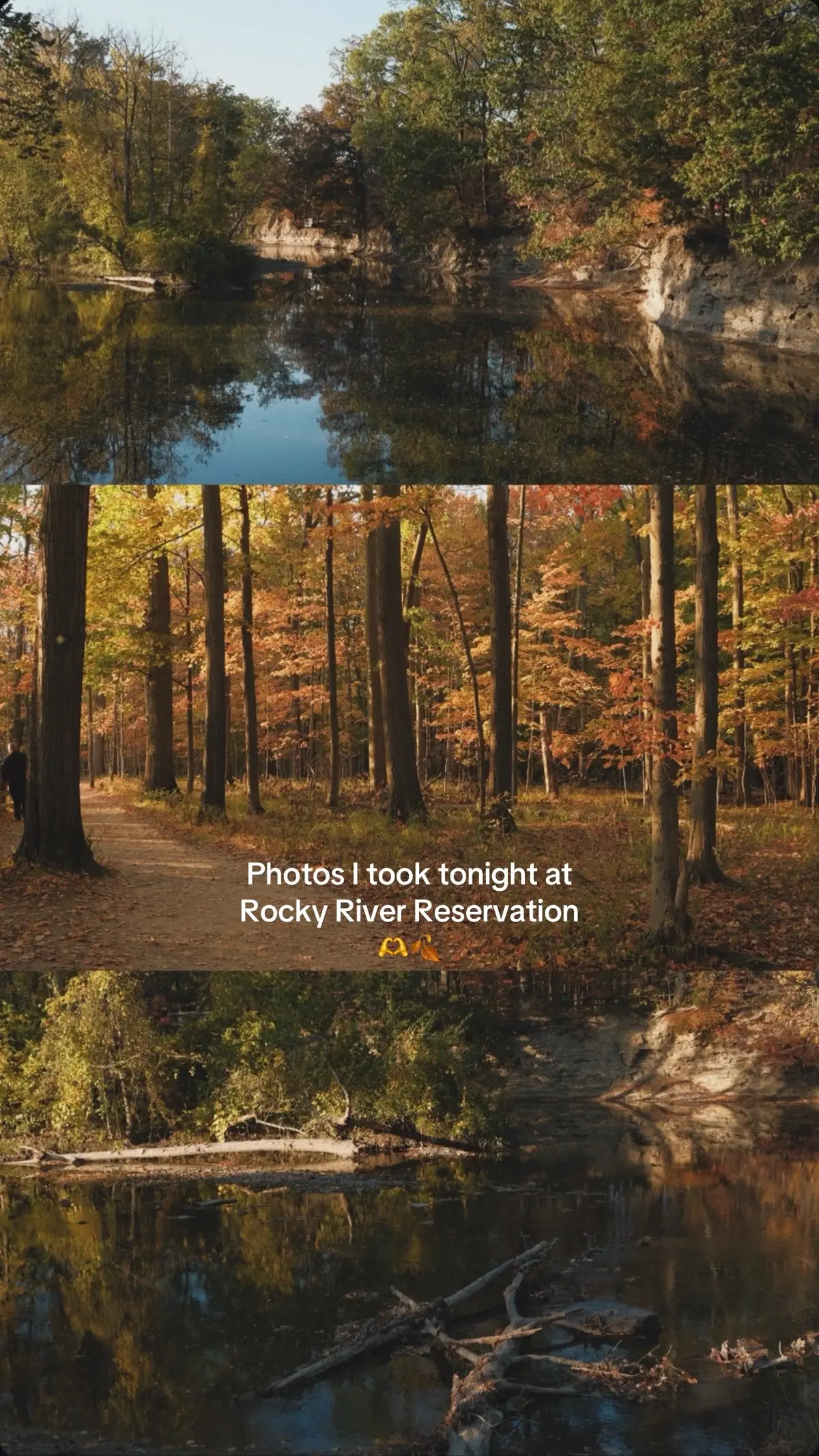 One of my favorite things about Cleveland are our Metroparks. Here are a few photos I took tonight in Rocky River! 🫶 