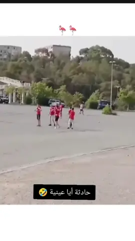 #مولديةالجزائر💚❤️ #mouloudia_virage_sud🇮🇹🙏 