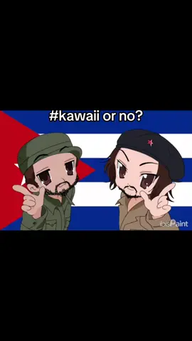 I drew the and colored them from memorycyz my school wifi be ahh #fyp #cuba #fidelcastro #cheguevara #communism 