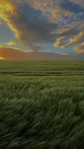 #اكسبلور 