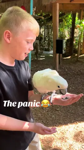 The slooow realization.. 😂😂