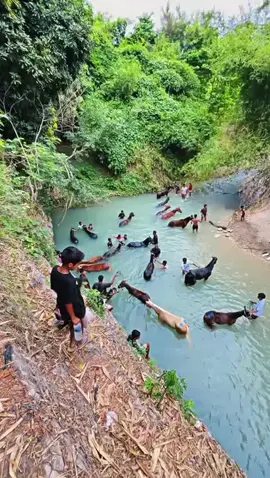 Beda doping beda nyali Salah doping masuk kuali 😄 #xyzabc #fypage #nttpride🏝🔥 