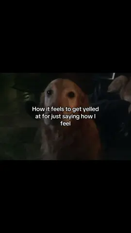How it feels to get yelled at for saying how I feel #vent #venting #MentalHealth #dog #sad 