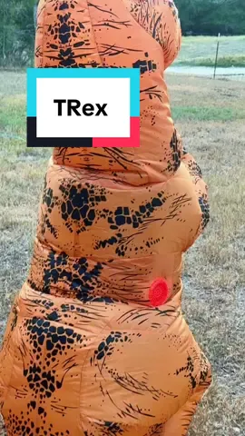 Inflatable costumes will never not be funny 🤣🤣#halloween #halloweencostume #funnykids #trex 