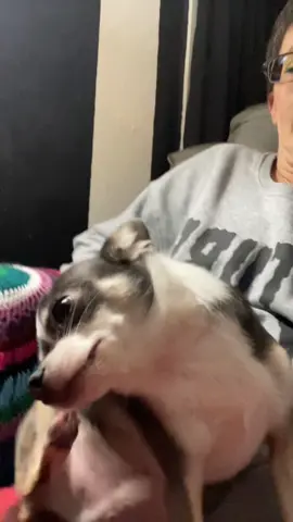 Woy has itchy in him’s ear and Hims ready for bed you stupid bitch. 