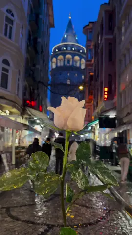 #تركيا🇹🇷اسطنبول #turkey #تركيا #الشتاء🎻🎼 #fyp 