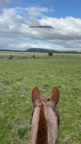 🤩🤩 #horses #spirit #ranchlife #uruguay #volunteer 
