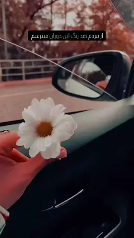 I fear the people of this two-faced world — those who smile with lips but hide knives behind their backs. I fear friendships that fade when there’s nothing left to gain, and truths that drown in oceans of lies. I don’t fear loneliness or the dark; I fear the people who’ve made even the light seem fake. 😔😔 #viral #دکلمه #شعر #Love #afghanistan🇦🇫 