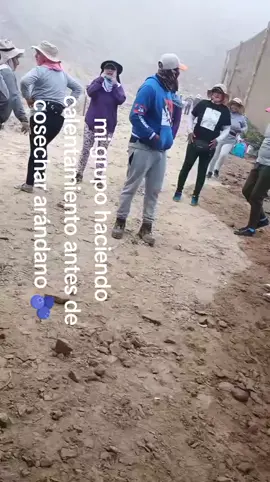 campeón 