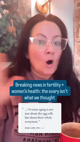 Your ovaries are listening. 🧠💛 Groundbreaking research from UCSF (link below) reveals that the ovary is wired with sympathetic nerves — the same ones that regulate your fight-or-flight response. These nerves actually increase with age, influencing when eggs mature and when they stay dormant. Scientists also discovered changes in glial cells — the brain’s support cells — within the ovary itself. Together, this shows what many of us in integrative medicine have seen for decades: Fertility isn’t just about egg count — it’s about the entire ovarian ecosystem, and how it communicates with your brain, your hormones, and your stress physiology. 🌿 What you can do: Support that communication system — by regulating your nervous system, balancing blood sugar, reducing inflammation, and nourishing your mitochondria. Because your ovary feels what your body feels. 👉 Comment AimeeRaupp.com/Books to get info on how to access my Improving Egg Quality Masterclass — where I teach exactly how to apply this research to your daily life. Title: Comparative analysis of human and mouse ovaries across lifespans reveals roles for sympathetic nerves and glia Link: https://www.biorxiv.org/content/10.1101/2025.02.27.640481v1 #OvaryIsListening #OvarianAging #FertilityScience #EggQuality #WomenOver35   
