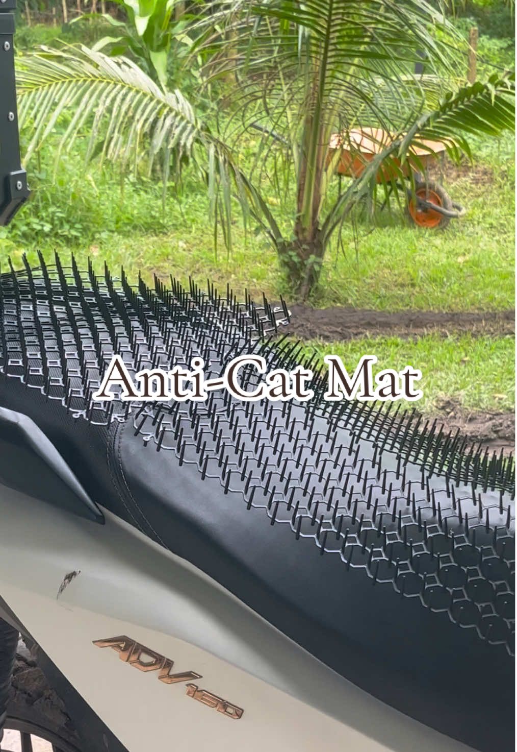 Anti-Cat Mat #catmat #anticatmat #catmatwithspike #motorcyclecare #catrepellent 