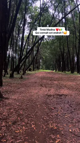 #conakry_tiktok #guinéenne_fière🇬🇳🇬🇳🇬🇳tiktokguinee224🇬🇳 #senegalaise_tik_tok #conakryguinea🇬🇳🇬🇳🇬🇳 #foutadjallon @🌸❤️Ayesha 🌸❤️ @Visit_Guinée 🇬🇳🍃 @Tour de Guinée 224🇬🇳🇸🇳🇫🇷 @mahmoud Timbi Madina 🇺🇸 @~iyama 💗 @Maladho Diallo 