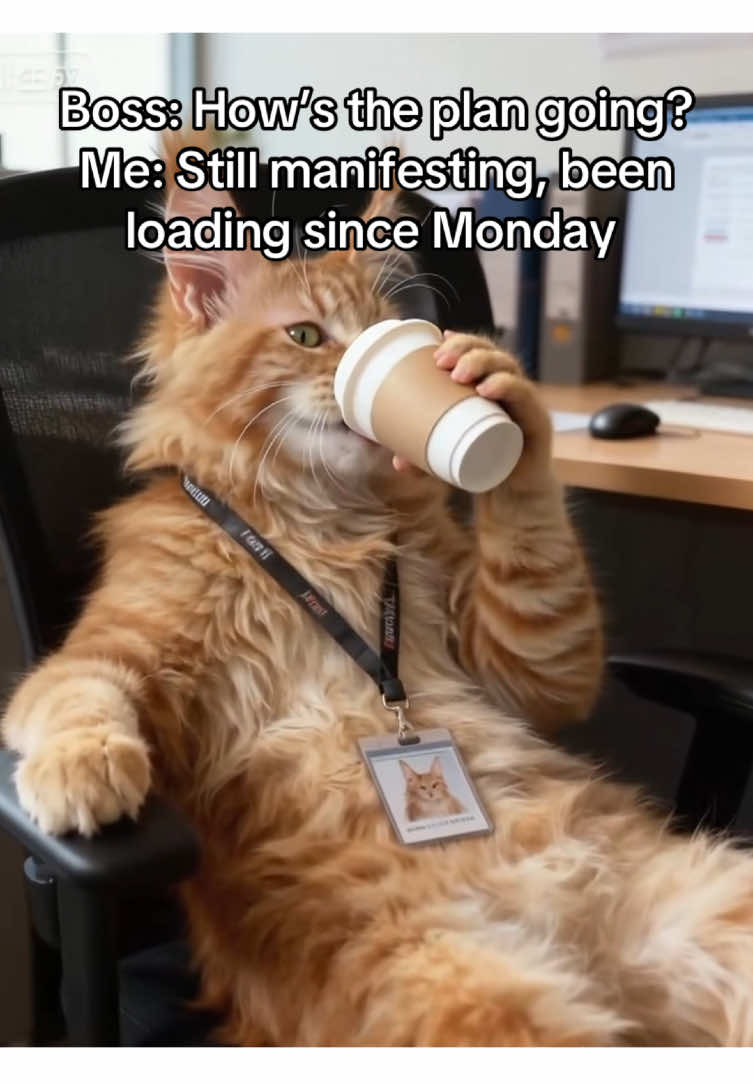 Still manifesting☕️#fyp #worklife  #workhumor #office #catmeme 