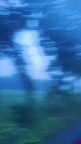 #আলাহ# এই ফজরের নামাজ পরবে ইনশাআল্লাহ  for you please #Islamic video#@FOLLOWERS..❤️🐻🐨 oficial 