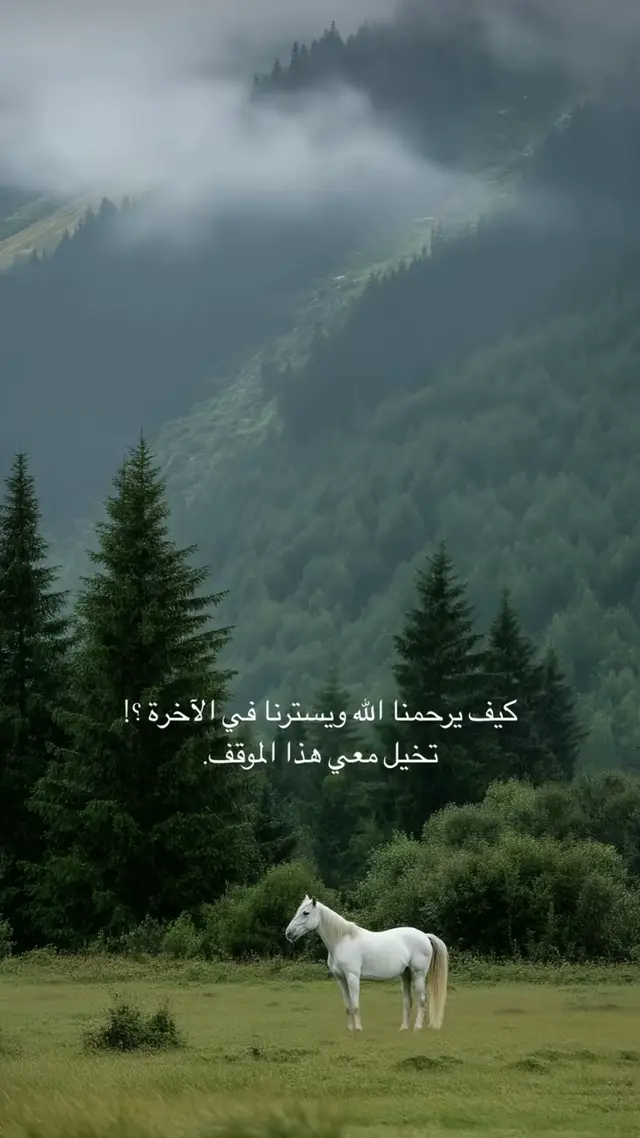 #fyp #explore #fypシ゚ #quran 