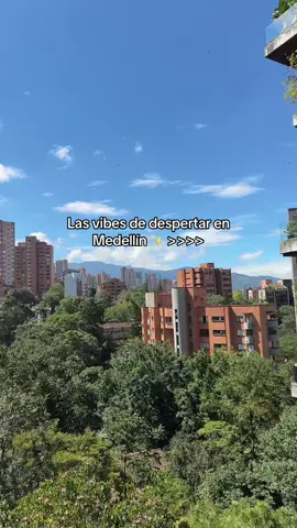 Me encantas Medellín 💚 #medellín #elpoblado #viaje