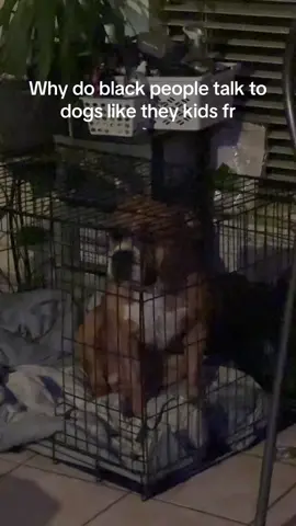 I swear my dog know his full name and what I be saying to him 😂 #dogs #dogmom #doglover #comedy #foryoupage