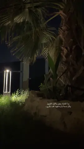 #الشتاء🎻🎼 