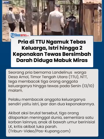 Detik-detik Pria di TTU Ngamuk lalu Bacok Keluarga, Istri hingga 2 Keponakan Tewas Bersimbah Darah #timortengahutara #ntt #kasuspembacokan #kasuspembunuhan #beritakriminal