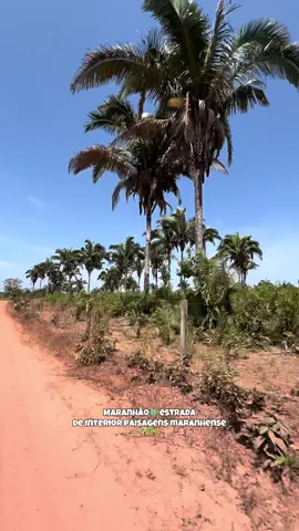 Maranhão: interior, paisagens maranhenses🌴🌴🌴 