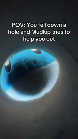 I hear you like mudkipz haha #pokemontiktok #pokemonplush #plushies #mudkip #pokemoncommunity 