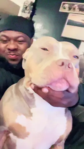 Mihhhhh miaaaaaa #fyp #roddyrodd89 #royalpupfamily👑mia 