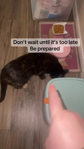 There is no such thing as being too cautious when it comes to my baby #airtagcatcollar #catcollar #tiktokshoppets 