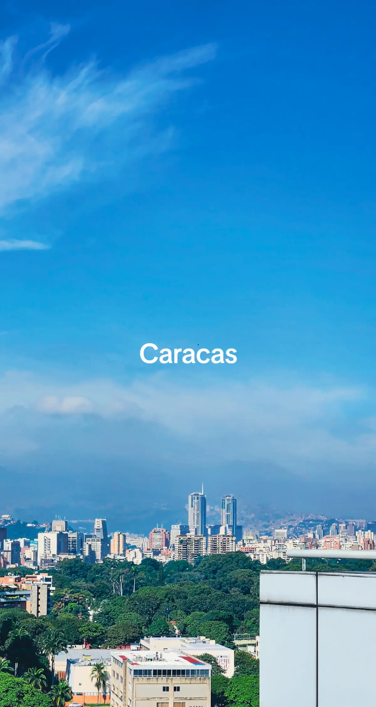 Quien iba a pensar que entre tanto ruido hay tanta belleza ✨️ #Venezuela #caracasvenezuela🇻🇪 #fotografia 
