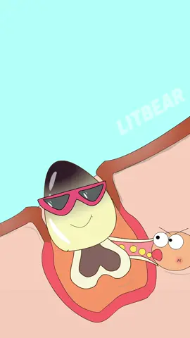 #fypシ #skincare #pimple #pimplepatch #litbear 