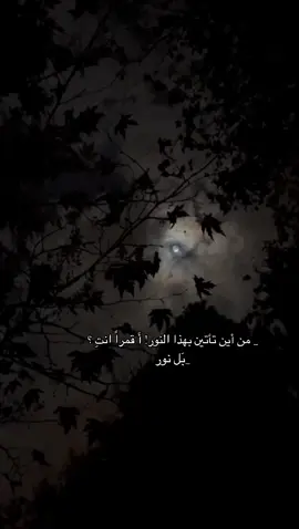 🩶🌖🌙