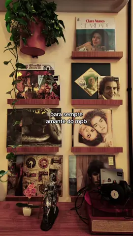 Amo mpb #mpb #foryoupage #aesthetic #vibes #pinterest 