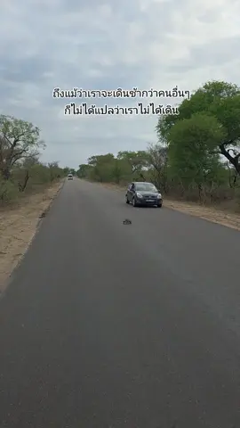 แฟนพาเที่ยว​ Kruger​ National​ Park, South Africa #แฟนอเมริกัน 