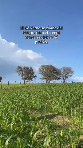 Triste situación #viral #agricultor #fyp #fypp #zacatecas 