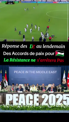 لم و لا و لن نسمح في القضية