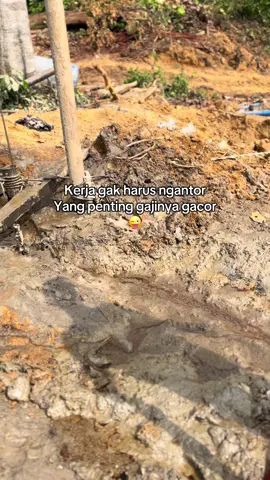 Inpo gacor ketua#ngeborminyak #minyakgacor #fypviralシviral #ngeborminyak #minyakgacor 