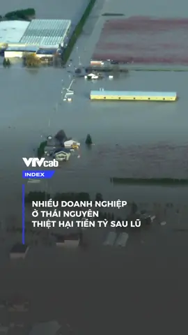 Nhiều doanh nghiệp ở Thái Nguyên thiệt hại tiền tỷ sau lũ  #vtvcab #vtvindex #index #tintuc #fyp 