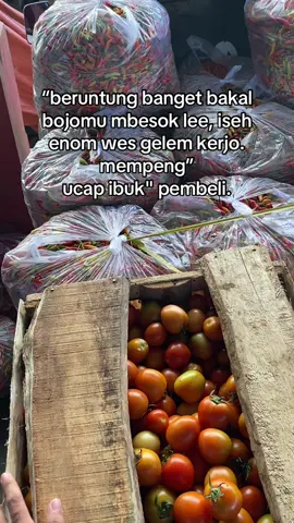 ✨#fyp #beranda #tiktok #cabebalap🌶️🌶️ #bosmuda 