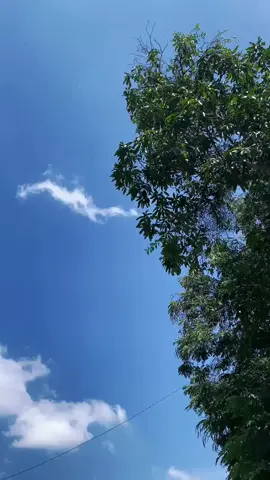 Bismillah @kurnia dekorasi 🌾 #kangdekor #dekorasiwedding #masukberanda #fyppppppppppppppppppppppp 