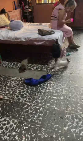 #LIVEIncentiveProgram #GenuineInteractionMatters #PaidPartnership 