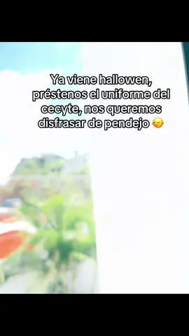 Los del cecyte es humor no se lo vayan a tomar tan enserio solo es contenido 😛 #HUMOR #cecyte #paratiiiiiiiiiiiiiiiiiiiiiiiiiiiiiii #pyfツ #hazmeviral 