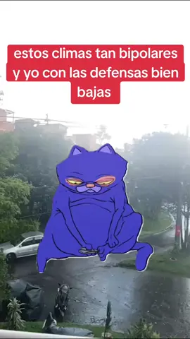 #CapCut #clima #lluvia #defensas 