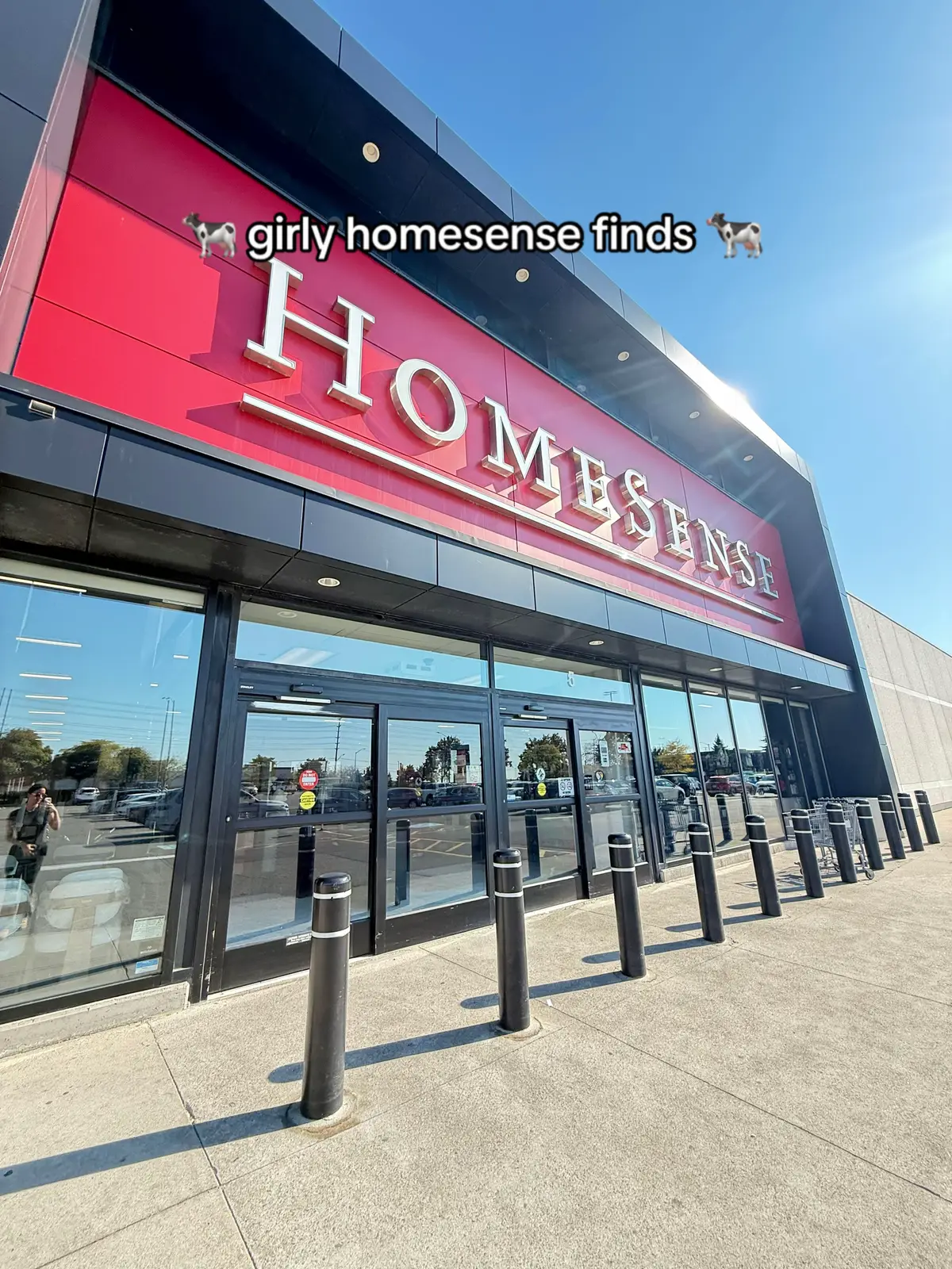 come shopping at homesense with me! #HomeSense #HomeSenseCanada #HomeSenseFinds #HomeSenseCanadaFinds #canadianfinds 