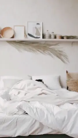 El error que cometes cada noche y que arruina tu espalda 😰 Muchos creen que dormir bien es simplemente cerrar los ojos y descansar, pero hay un error silencioso que puede estar destruyendo tu espalda cada noche. Dormir en una postura incorrecta, con la columna torcida o la almohada mal ajustada, hace que tus músculos trabajen mientras tú duermes. Por eso despiertas con dolor, rigidez y esa sensación de cansancio que no se va. La clave no está en dormir más, sino en dormir mejor: coloca una almohada entre las rodillas si duermes de lado, usa una más baja si duermes boca arriba y evita dormir boca abajo. Cambiar eso puede ser la diferencia entre despertar renovado o con un dolor que te acompaña todo el día. #fyp #dolordeespalda #salud #lumbalgia #curardolordeespalda